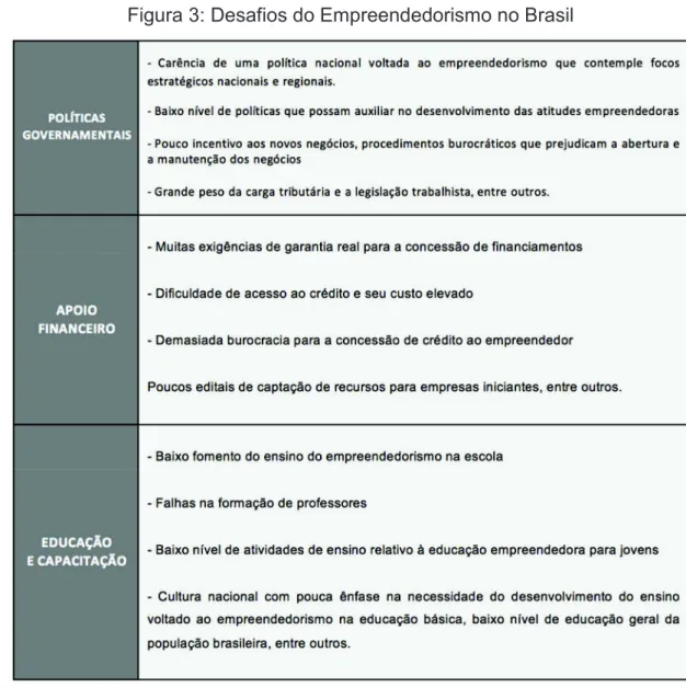 Figura 3: Desafios do Empreendedorismo no Brasil 