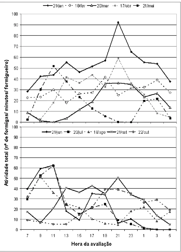 Figura 3.  Atividade total de formigas em formigueiros de Acromyrmex spp. em um tempo de 1 minuto a cada 2  horas  por  um  período  de  24  horas,  Lages,  SC,  2007