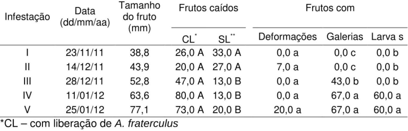 Tabela 2 - Porcentagem de frutos da cultivar William`s caídos, com a presença de  deformações,  galerias  e  larvas  após  a  infestação  a  campo  com  adultos  de  Anastrepha fraterculus