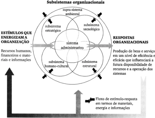 Figura 2 – Como uma organização pode ser vista como um conjunto de subsistemas. 