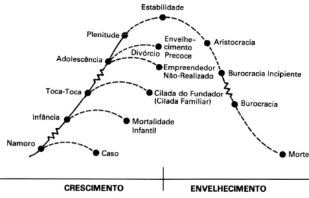 Figura 5 – O ciclo de vida das organizações de Ichak Adizes. 
