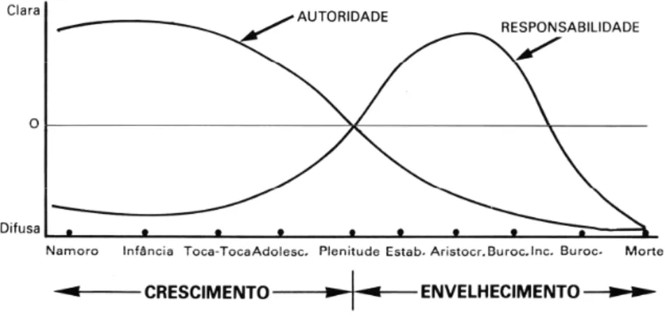 Figura 8 – Autoridade e Responsabilidade ao longo do Ciclo de Vida. 