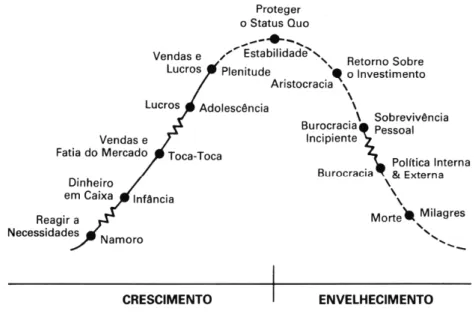 Figura 9 – Metas ao longo do Ciclo de Vida. 