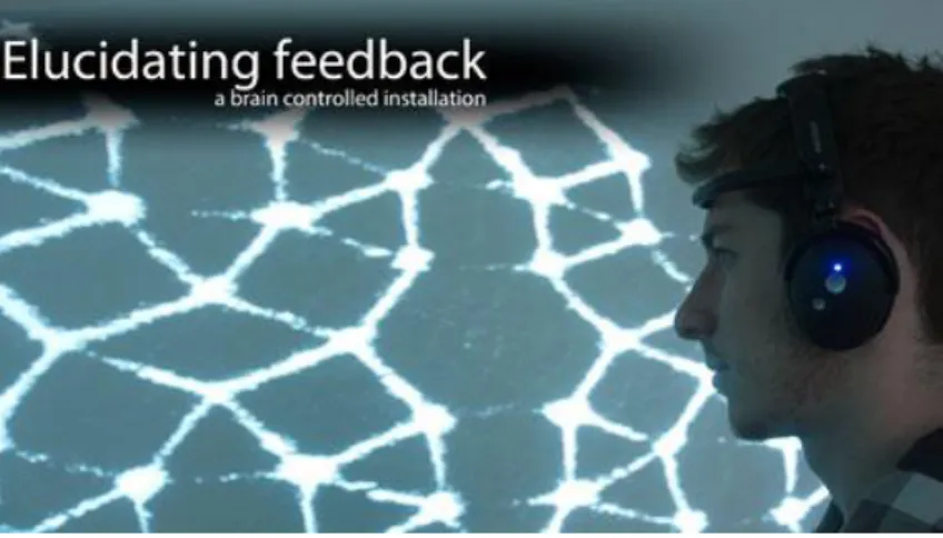 Figura 5 - Elucidating feedback, 2001 