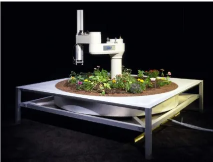 Figura 8 - Telegarden, 1996-2004 