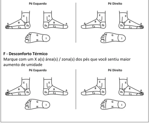 Figura 9 - Avaliação de Percepção  - 3ª Fase - Esquema gráfico dos pés com  demarcação por áreas para avaliação do desconforto térmico