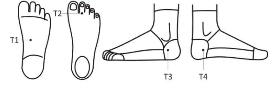 Figura 12 - Indicação dos pontos de fixação dos sensores (T1 arco plantar,  T2 2º dedo, T3 lateral e T4 medial)
