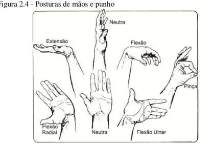 Figura 2.4 - Posturas de mãos e punho 