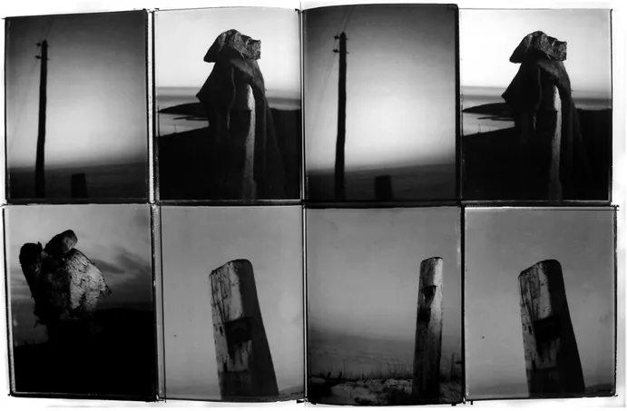Fig 04: Monuments for my daughter Andrea, 1954-1974. Impressão de gelatina de prata de negativo  Polaroid, 49,6 x 39,8 cm, Mabou, 1975
