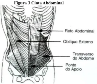 Figura 3 Cinta Abdominal