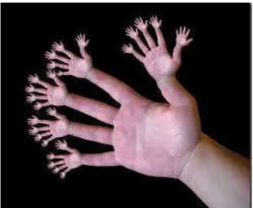 Figura  4 - Fractal. 