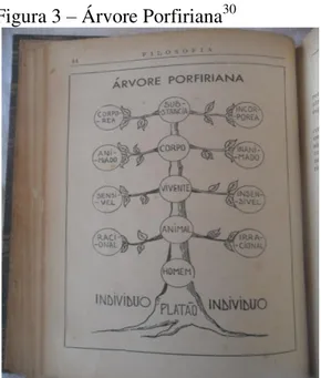Figura 3  –  Árvore Porfiriana 30