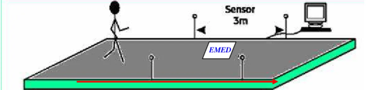 Figura 6: Esquema da disposição das fotocélulas e do sistema Novel Emed- XR System 