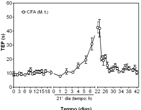GRÁFICO 3 - (EXP 2) Efeito da administração de 50 μL (1 mg/mL) de CFA contendo Mycobabterium  tuberculosis, o 1° estímulo na base da cauda e o 2° estímulo na articulação TF, na incapacitação articular de  ratos machos (n=6)