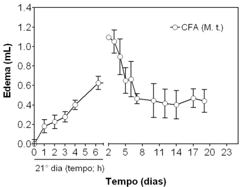 GRÁFICO 5 - (EXP 3) Efeito da administração de 50 μL (1 mg/mL) de CFA contendo Mycobacterium  tuberculosis, na base da cauda (1° estímulo) e na articulação TF (2° estímulo), no edema articular de machos  (n=6)