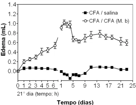 GRÁFICO 7 – (EXP 4): Efeito da administração de 50 μL (0,5 mg/mL) de CFA contendo Mycobabterium  butyricum,   na base da cauda (1° estímulo) e na articulação TT (2° estímulo), no edema articular de fêmeas  (n=6;  Ο)