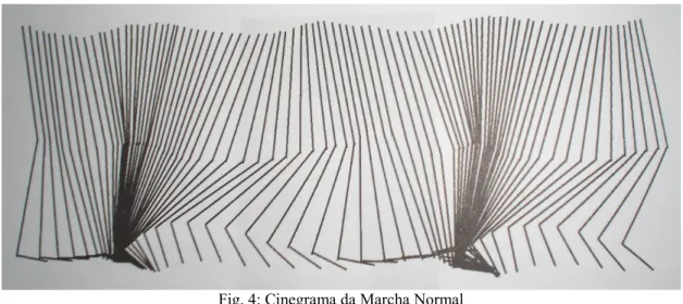 Fig. 4: Cinegrama da Marcha Normal Fonte: VIEL, 2001 p. 128