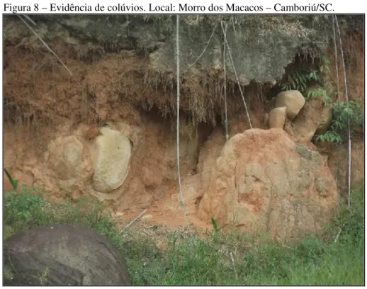 Figura 8 – Evidência de colúvios. Local: Morro dos Macacos – Camboriú/SC.