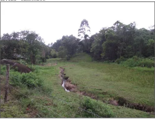 Figura 12 – Exemplo de um rio meandrante no Terraço Fluvial. Local: Comunidade da Pedra – Camboriú/SC