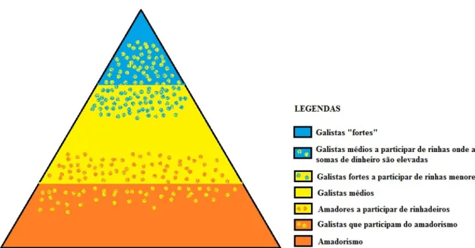 Figura 9 – Esboço da pirâmide social da prática das brigas de galos. 