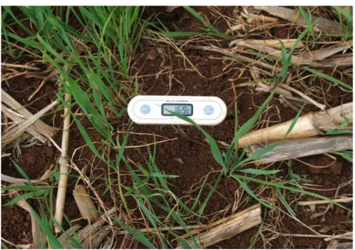 Figura  5  -  Termômetro  digital  com  haste  de  metal,  utilizado  para  aferição  da  temperatura  do  solo  a  10  cm  de  profundidade  em  cada  ponto  de  coleta de solo