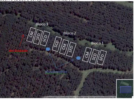 Figura  1  –   Imagem  aérea  da  área  experimental,  com  destaque  à  posição e delimitação das parcelas com seus respectivos tratamentos: 