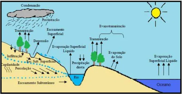 Figura 1: Processo do Ciclo Hidrológico, Tucci (1997). Adaptado por CONORATH, D. G. 