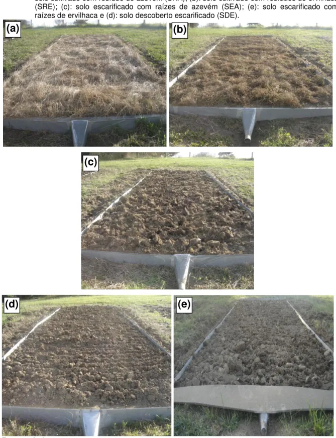 Figura 4 – Vista dos tratamentos estudados antes da realização da primeira chuva simulada com (a): 