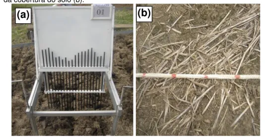 Figura 5 – Ilustração do rugosímetro de varetas (a) e da corda marcada utilizada para determinação  da cobertura do solo (b)