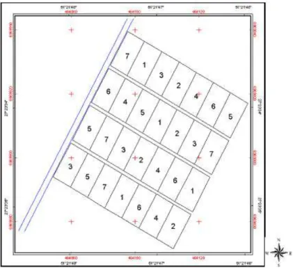 Figura 4. Coordenadas geográficas da área experimental e demonstração do arranjo experimental adotado desde  2001