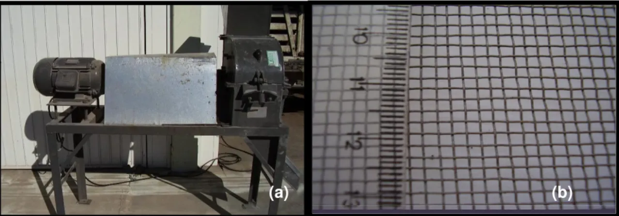 Figura 2 – Moinho de martelo (a); peneira 2 mm (b), utilizados para moer e peneirar a rocha 