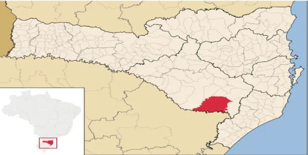 Figura 4 – Mapa com a localização do Município de São Joaquim  Fonte: Wikipedia 