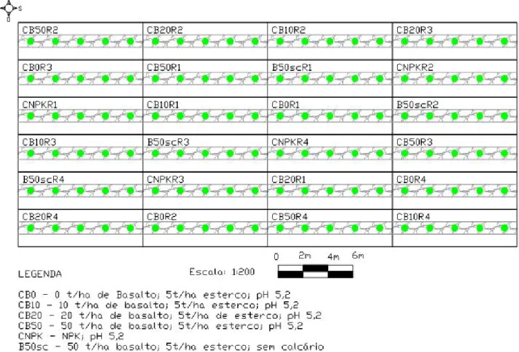 Figura 5 – Croqui do experimento com os tratamentos e número de plantas    