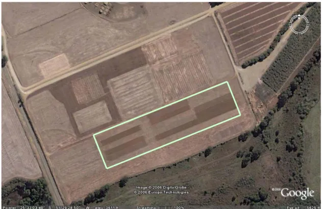 Figura 1. Imagem de satélite do experimento no Campo Experimental da Fundação Agrária de  Pesquisa Agropecuária (FAPA)