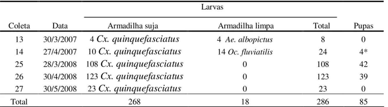 Tabela 5 – Larvas e pupas de culicídeos capturadas em armadilhas suja e limpa, no Centro, na cidade de Lages,  SC, no período de março de 2006 a agosto de 2008