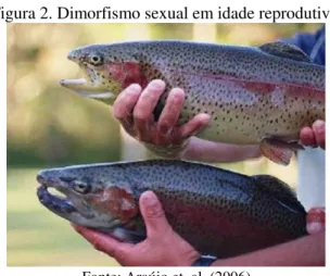 Figura 2. Dimorfismo sexual em idade reprodutiva. 