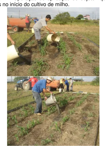 Figura  1  -  Operação  de  aplicação  do  dejeto  líquido  de  suínos no início do cultivo de milho