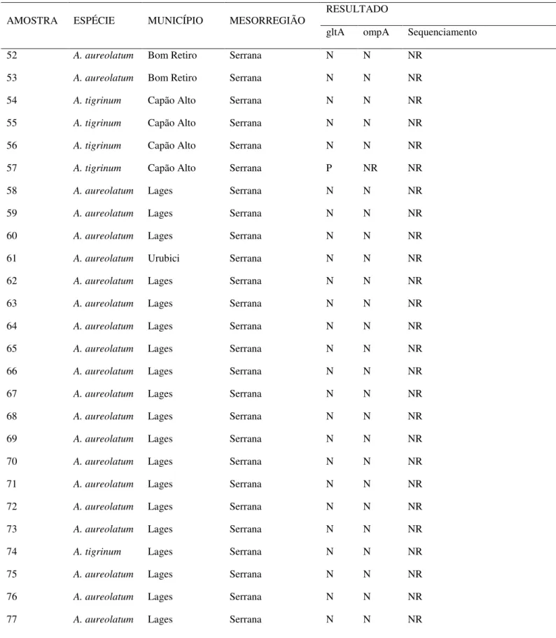 Tabela  5-  Resultados da  detecção e  identificação das espécies de  Rickettsias spp