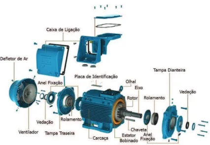 Figura 3: Componentes de um motor elétrico trifásico padrão.