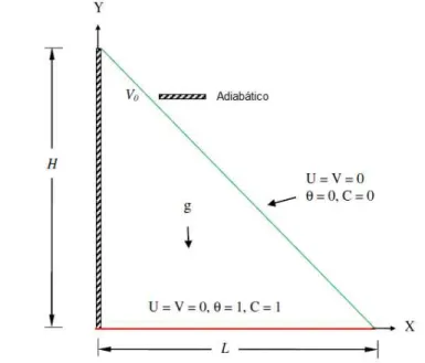 Figura 6  −  Modelo físico da cavidade triangular.