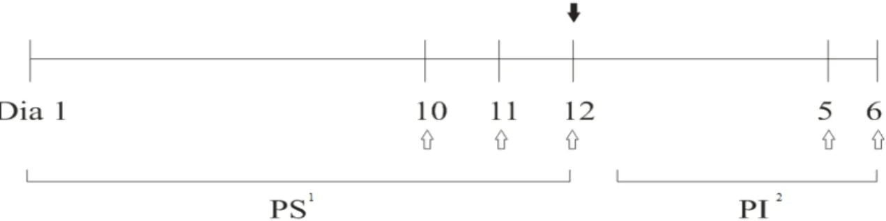 Figura 2 – Linha do tempo com os dias de coleta de amostras. 