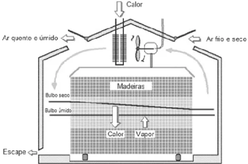 Figura 2.1 - Representação de um seca