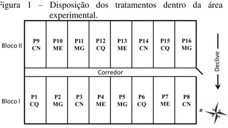 Figura  1  –   Disposição  dos  tratamentos  dentro  da  área  experimental. 