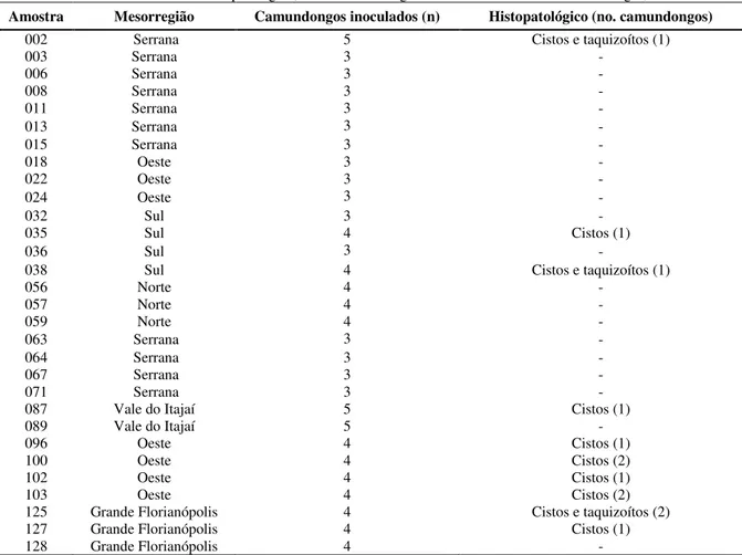 Tabela 4 – Relação do número de camundongos inoculados (bioensaio) e a presença das formas evolutivas de  T