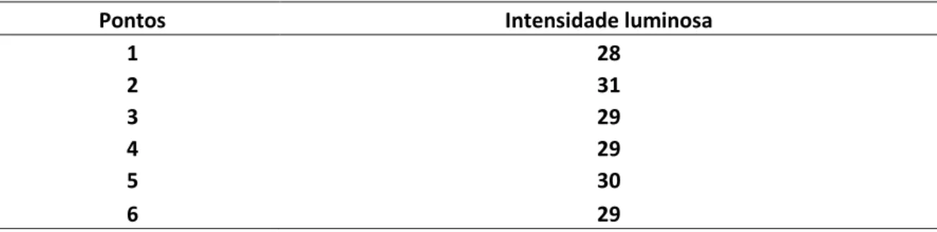 TABELA 1B- Leitura da intensidade luminosa realizada com luxímetro no interior do galpão  experimental realizada  no Período Noturno 