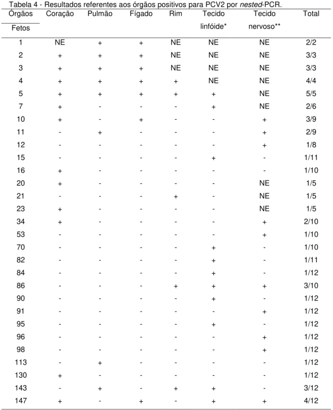 Tabela 4 - Resultados referentes aos órgãos positivos para PCV2 por nested-PCR. 