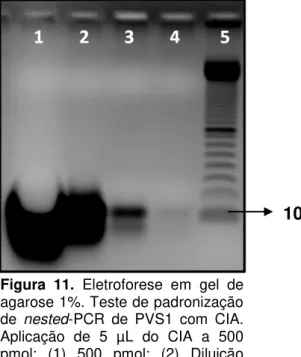 Figura  11.  Eletroforese em gel de  agarose 1%. Teste de padronização  de  nested-PCR  de PVS1 com CIA