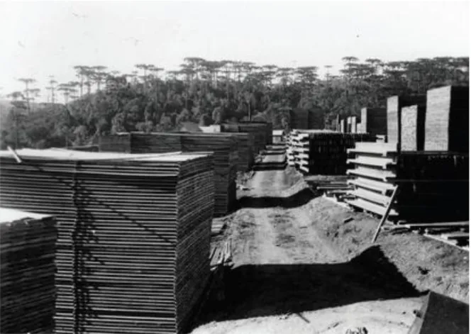 Figura 2:  Pátio de serraria localizada no Planalto Catarinense, meados de 1960. Fonte: Acervo Historiador  Claudio Silveira