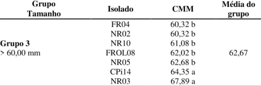 Tabela  6  –  Grupos  formados  pelos  35  isolados  de  Neonectria ditissima em ordem crescente de crescimento  micelial médio (mm)
