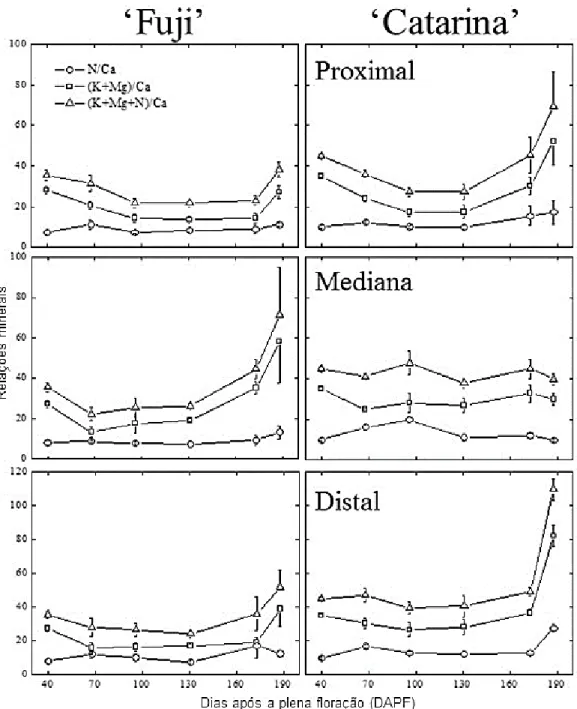 Figura  5  –  Valores  das  relações  N/Ca,  (K+Mg)/Ca  e  (K+Mg+N)/Ca  nas  regiões  proximal, mediana e distal em maçãs ‘Fuji’ e ‘Catarina’, durante o período  de desenvolvimento dos frutos (dos 40 aos 188 dias após a plena floração)